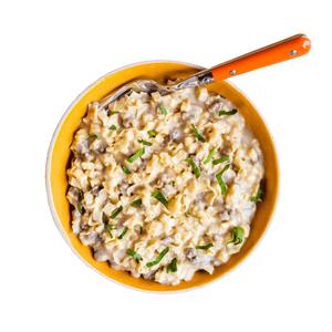 Beef Stroganoff with Noodles freeze dried food - Mountain House